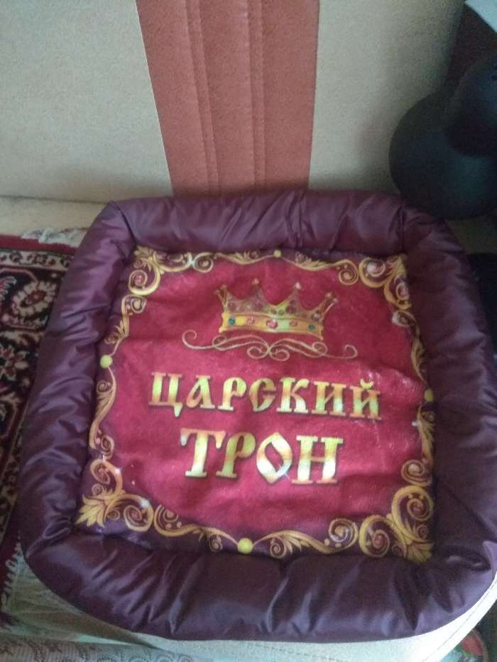 Фотография покупателя товара Лежанка с бортом "Царский трон", 42 х 42 х 5 см, микс цветов