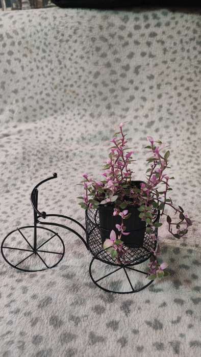 Фотография покупателя товара Подставка для цветов Доляна «Велосипед», d=8 см, 18×10×13 см, цвет чёрный