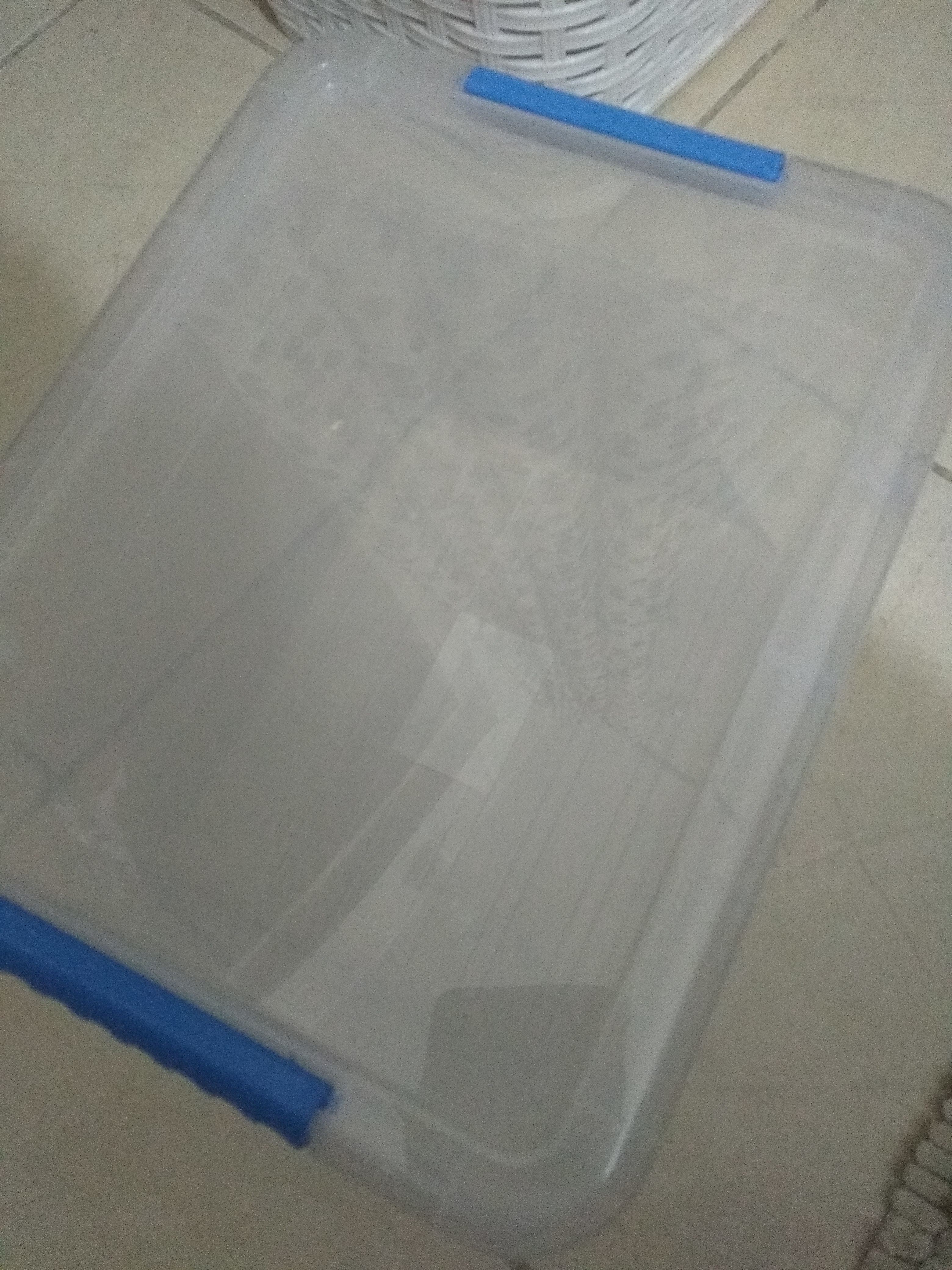 Фотография покупателя товара Контейнер для хранения с крышкой Standart, 5 л, 25×20×16 см, цвет МИКС