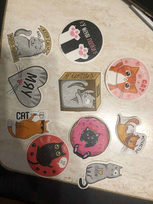 Фотография покупателя товара Наклейки-стикеры «Котики», набор 10 шт., 7×7 см - Фото 22