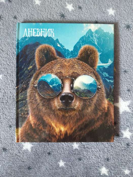 Фотография покупателя товара Дневник для 5-11 классов, "Медведь в очках", твердая обложка 7БЦ, глянцевая ламинация, 48 листов - Фото 4