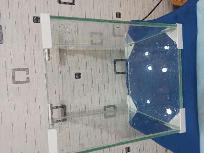 Фотография покупателя товара Аквариум "Куб", покровное стекло, 19 литров, 25 x 25 x 30 см, белые уголки - Фото 1