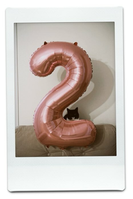 Фотография покупателя товара Воздушный шар фольгированный 40" «Цифра 0» - Фото 4