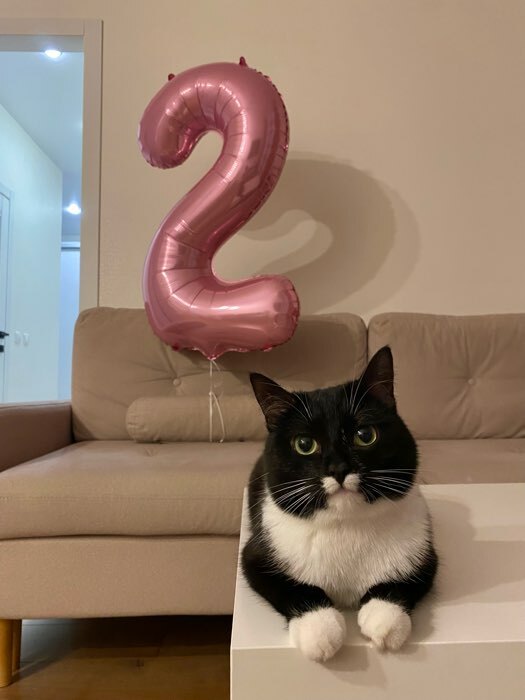 Фотография покупателя товара Воздушный шар фольгированный 40" «Цифра 0» - Фото 5