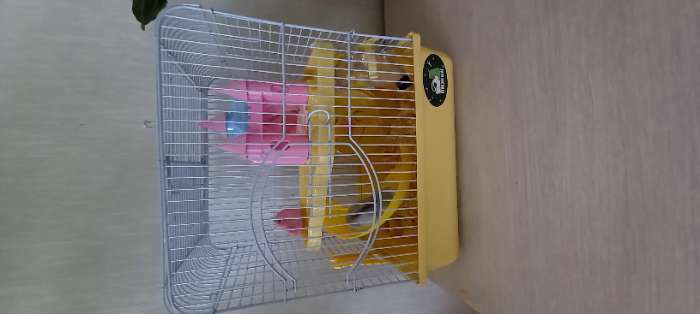 Фотография покупателя товара Клетка для грызунов "Пижон", укомплектованная с замком, 27 х 21 х 31 см, жёлтая - Фото 1