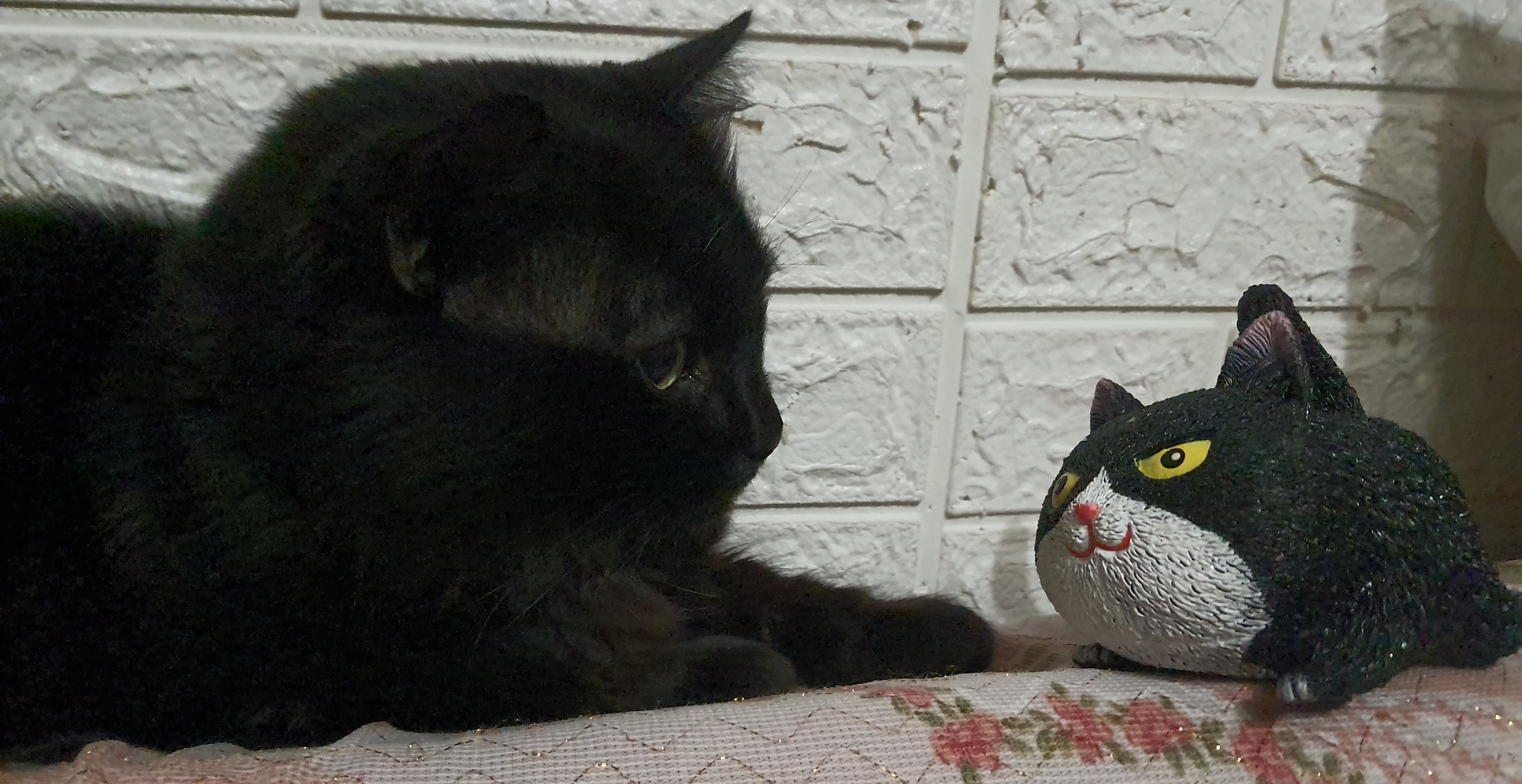Фотография покупателя товара Игрушка-антистресс «Кот», 12 × 10 см, 4 вида - Фото 2