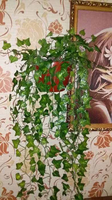 Фотография покупателя товара Лиана "Полосатые листья" 80 см - Фото 9