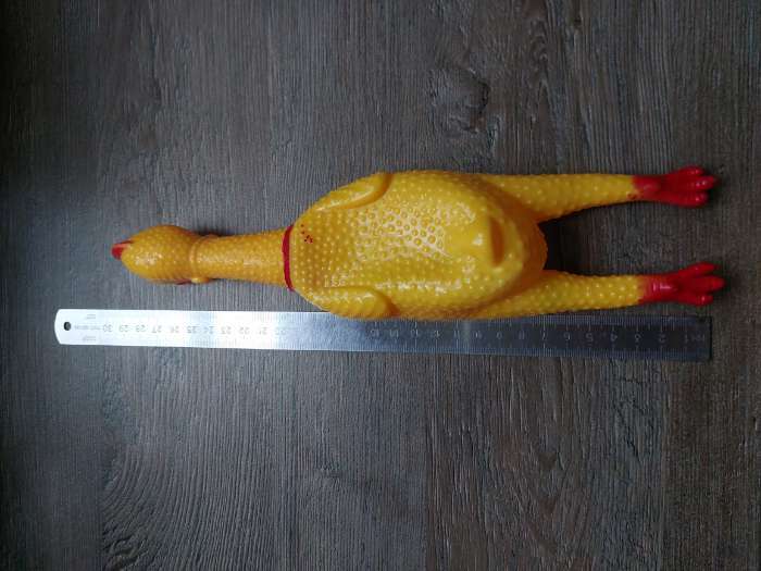 Фотография покупателя товара Игрушка пищащая "Задумчивая курица" для собак, 28 см, жёлтая - Фото 22