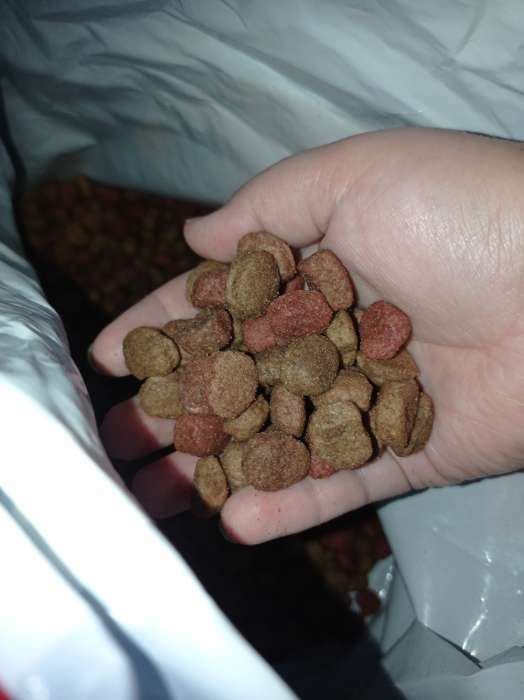 Фотография покупателя товара Сухой корм Chappi "Мясное изобилие" для собак, 15 кг. - Фото 1