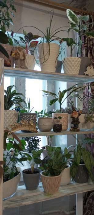 Фотография покупателя товара Горшок для цветов с поддоном «Wave», 2.5 л, d=17.5 см, серый - Фото 9