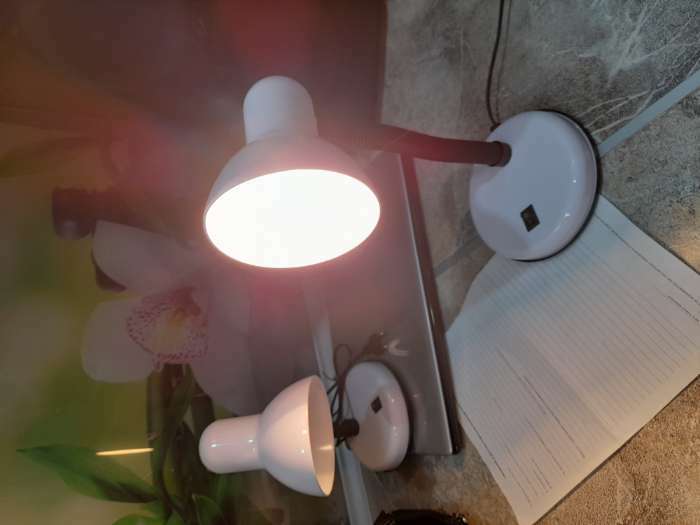 Фотография покупателя товара Лампа настольная Е27, с выкл. (220В) белая 34х14х14 RISALUX - Фото 1