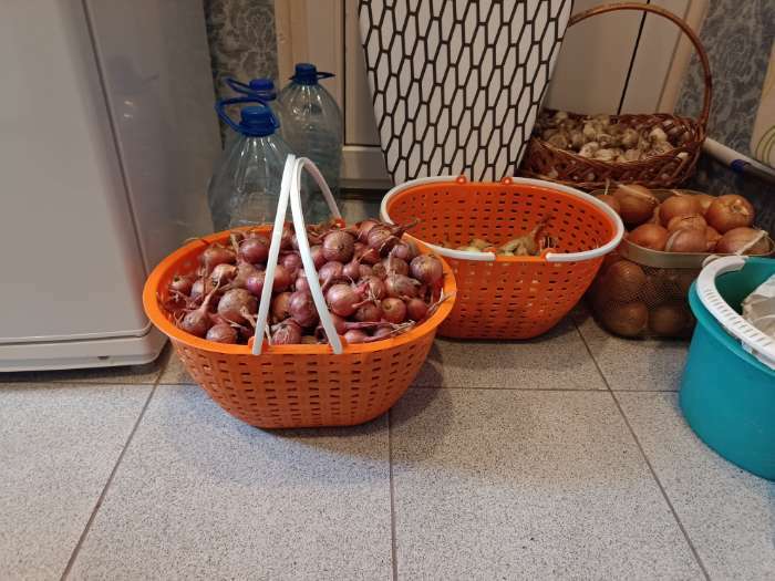 Фотография покупателя товара Ёмкость для сбора урожая «Лукошко», цвет МИКС - Фото 1