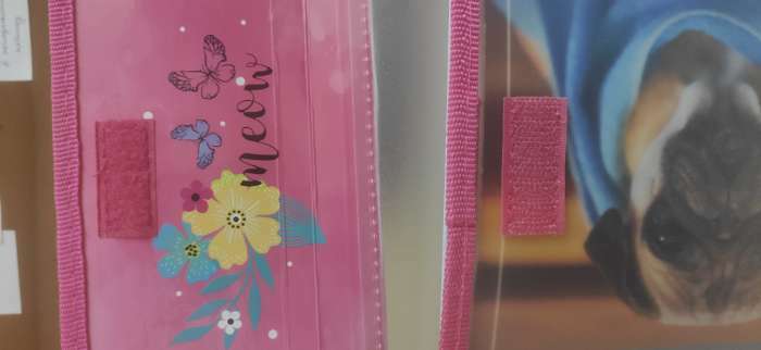 Фотография покупателя товара Папка для тетрадей А5 (240 х 205 х 40 мм), с клапаном на липучке, пластик/текстиль, Calligrata "Котёнок с цветочками" - Фото 3