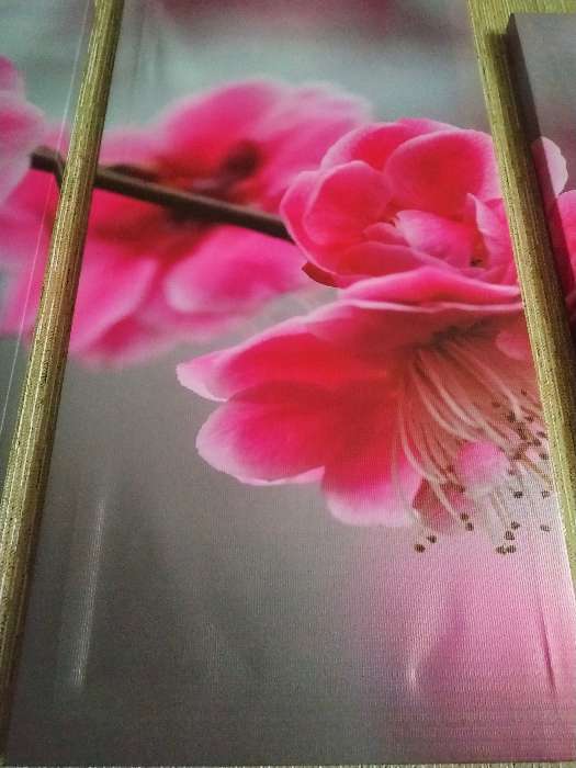 Фотография покупателя товара Модульная картина "Цветы сакуры"  (2-25х52; 1-30х60) 60х80 см - Фото 1