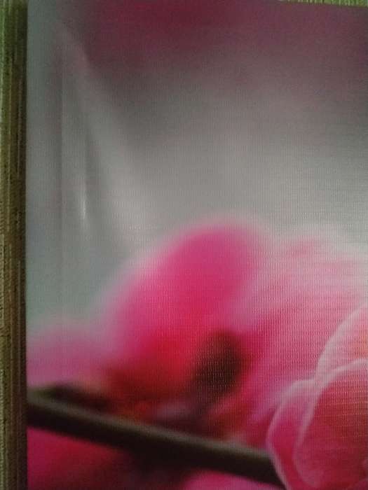 Фотография покупателя товара Модульная картина "Цветы сакуры"  (2-25х52; 1-30х60) 60х80 см - Фото 2