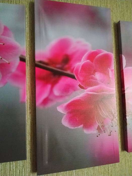 Фотография покупателя товара Модульная картина "Цветы сакуры"  (2-25х52; 1-30х60) 60х80 см - Фото 3