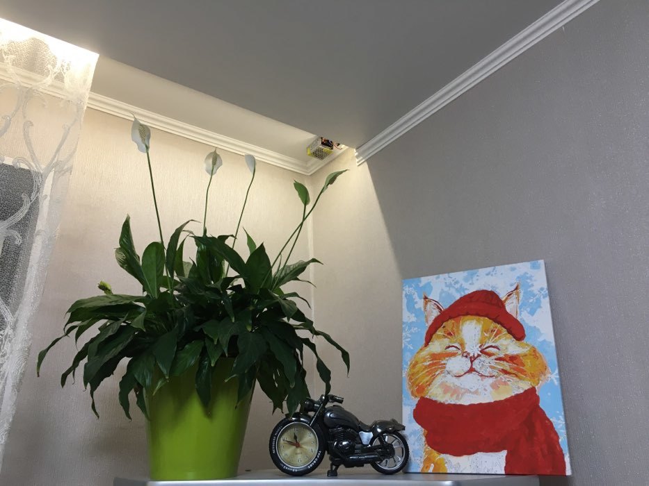 Фотография покупателя товара Картина по номерам на холсте с подрамником «Довольный кот» 30×40 см - Фото 6
