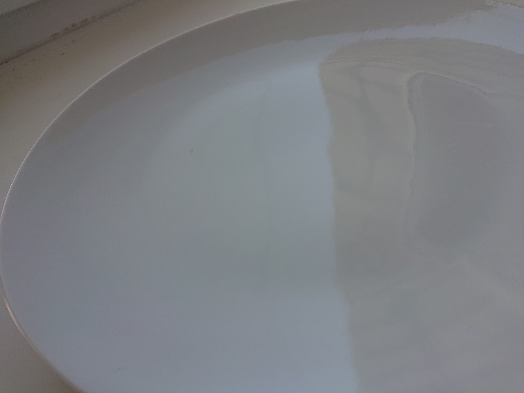 Фотография покупателя товара Тарелка фарфоровая «Универсал», d=24 см, белая - Фото 15