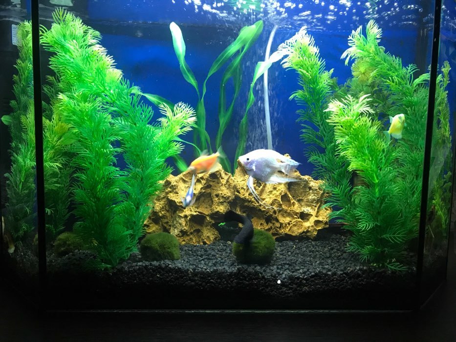 Фотография покупателя товара Светильник подводный, BARBUS LED 026, 40 см, 7,2 Вт, белый - Фото 2