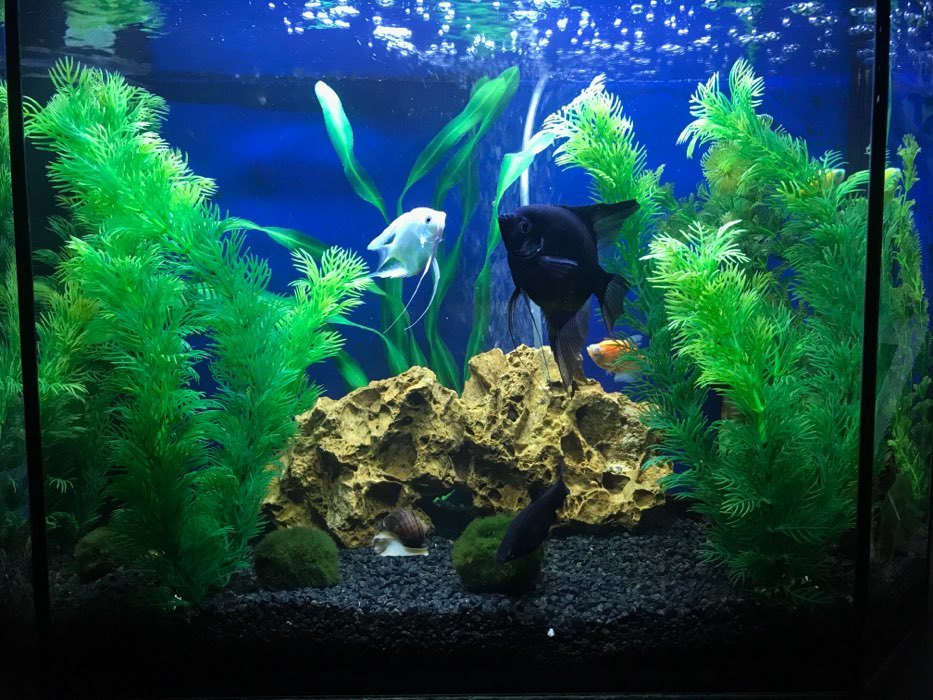 Фотография покупателя товара Светильник подводный, BARBUS LED 026, 40 см, 7,2 Вт, белый - Фото 3