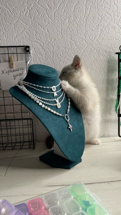 Фотография покупателя товара Бюст для украшений QF, 17×14×24 см, зелёная - Фото 1