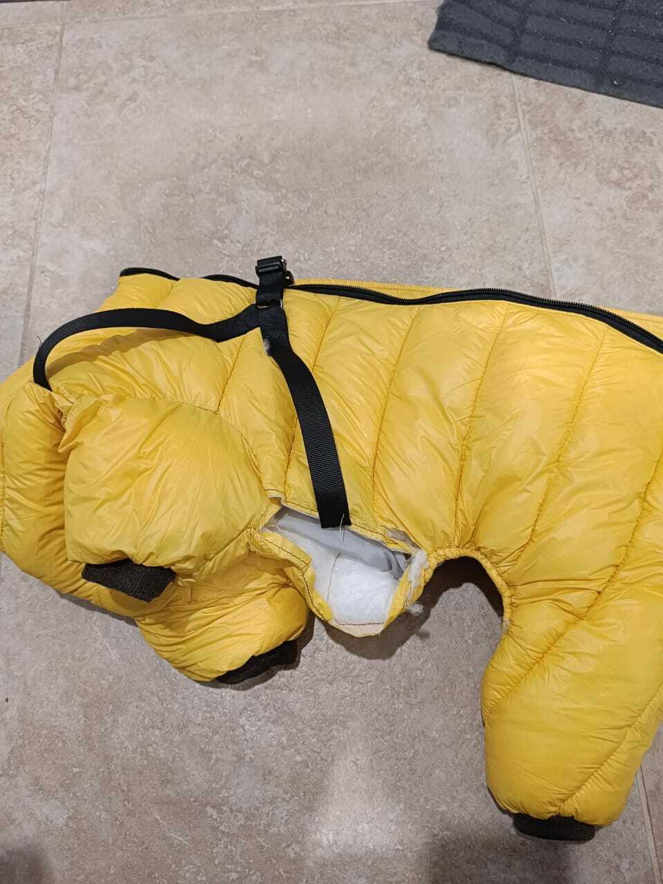 Фотография покупателя товара Комбинезон для собак со шлейкой «Моден», размер 22, ДС 41, ОГ 60, ОШ 43 см, жёлтый - Фото 2