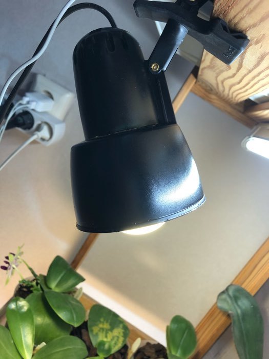 Фотография покупателя товара Светильник настольный на прищепке KT034В 1 лампа Е27 60Вт  черный
