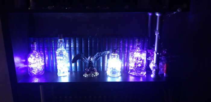 Фотография покупателя товара Гирлянда «Нить» 1 м роса с пробкой, IP20, серебристая нить, 10 LED, свечение фиолетовое, LR44х3 - Фото 8