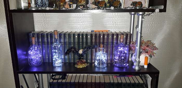 Фотография покупателя товара Гирлянда «Нить» 1 м роса с пробкой, IP20, серебристая нить, 10 LED, свечение фиолетовое, LR44х3 - Фото 7