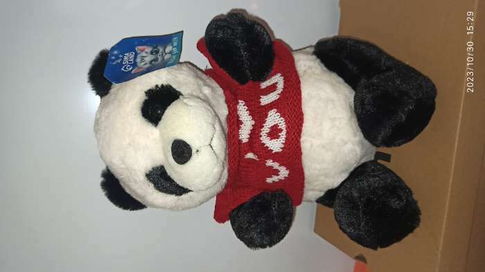 Фотография покупателя товара Мягкая игрушка «Панда» в кофте, 25 см - Фото 2