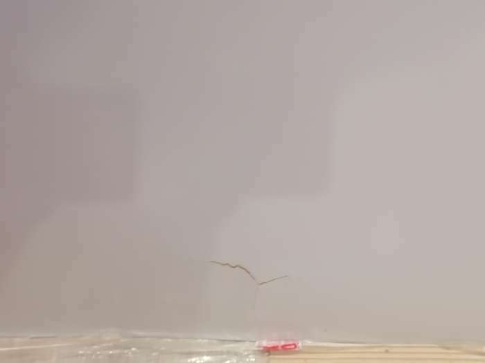 Фотография покупателя товара Шкаф-купе «Эко-Сим ЗЗ», 1600х600х2200 мм, зеркало, цвет белый