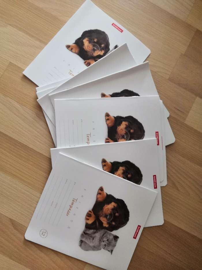 Фотография покупателя товара Тетрадь 12 листов в клетку ErichKrause "Дружба", обложка мелованный картон, блок офсет, МИКС (1 вид в спайке)