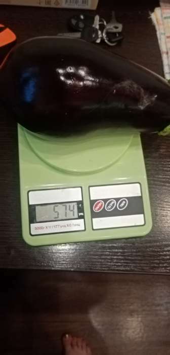 Фотография покупателя товара Семена баклажанов "Эпик F1" Семена Алтая раннеспелые, высокие, без горечи