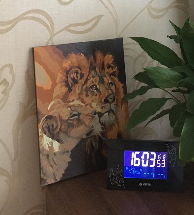 Фотография покупателя товара Роспись по холсту «Пара львов» по номерам с красками по3 мл+ кисти+инстр-я+крепёж, 30×40 см - Фото 1