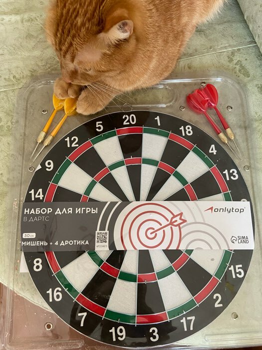 Фотография покупателя товара Дартс ONLYTOP, d=30 см, 4 дротика - Фото 1