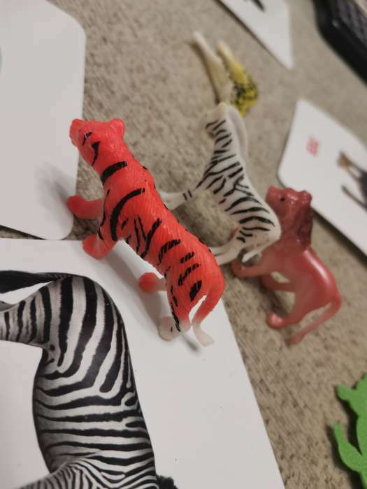 Фотография покупателя товара Развивающий набор фигурок для детей «Дикие животные» с карточками, по методике Домана - Фото 12