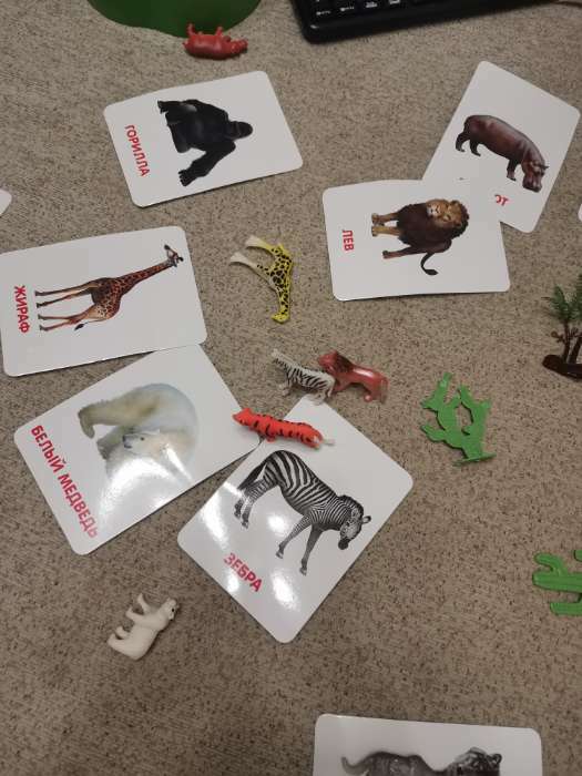 Фотография покупателя товара Развивающий набор фигурок для детей «Дикие животные» с карточками, по методике Домана - Фото 13