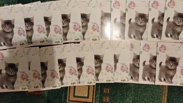 Фотография покупателя товара Тетрадь 12 листов в косую линейку Cat story, обложка мелованный картон, МИКС - Фото 1