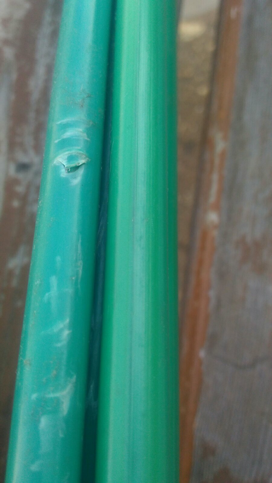 Фотография покупателя товара Кустодержатель для цветов, d = 30 см, h = 120 см, ножка d = 1 см, металл, зелёный