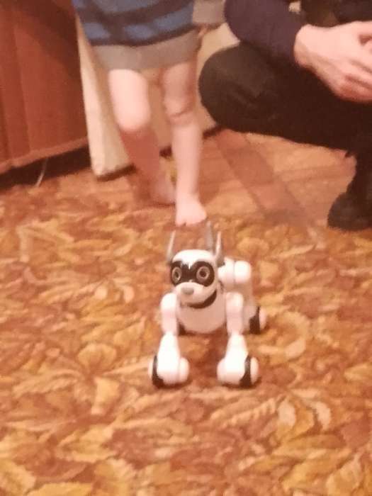 Фотография покупателя товара Робот-игрушка радиоуправляемый Собака Koddy, световые и звуковые эффекты, русская озвучка, уценка (заменили коробку)