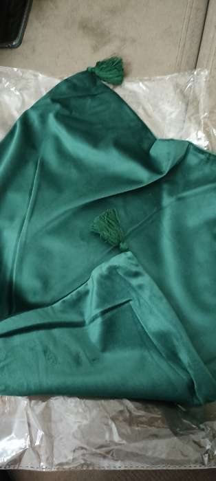 Фотография покупателя товара Наволочка декоративная с кисточками Этель цвет зелёный, 45х45 см, полиэстер, велюр - Фото 1