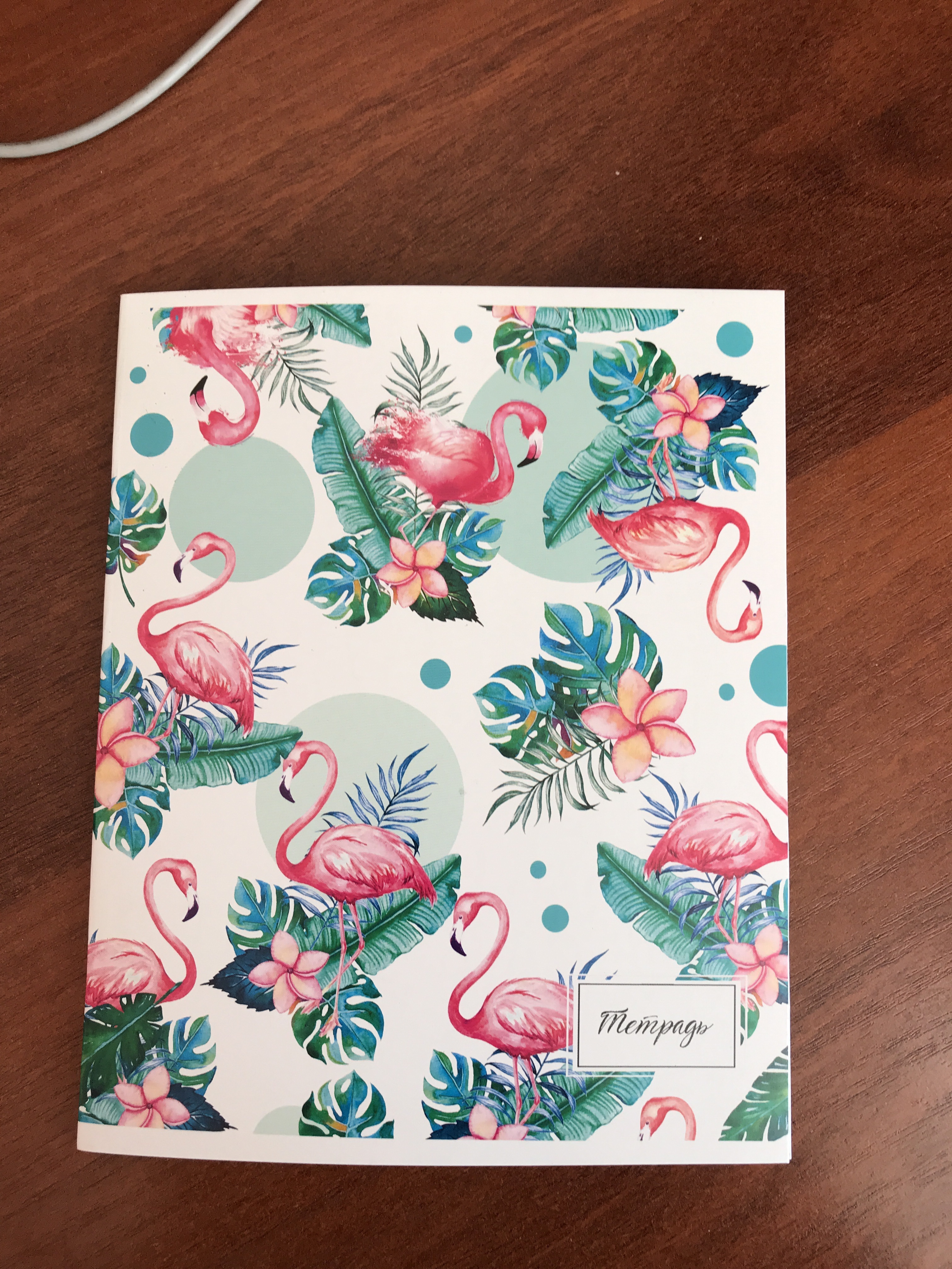 Фотография покупателя товара Тетрадь 36 листов в клетку Calligrata "Фламинго", обложка мелованный картон, блок офсет, МИКС