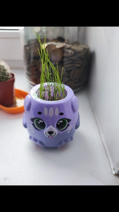 Фотография покупателя товара Набор для опытов «Котики. Выращиваем травку», фиолетовый горшочек - Фото 7