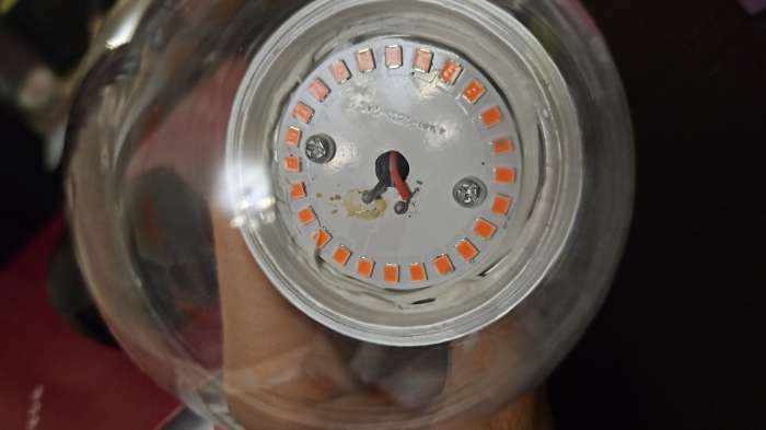 Фотография покупателя товара Фитолампа светодиодная Luazon, А60, E27, 12 Вт, IP44, 220 В, 270°, мультиспектральная - Фото 4
