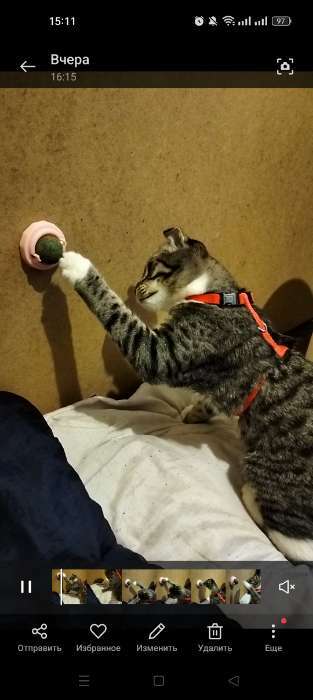 Фотография покупателя товара Игрушка для кошек из кошачьей мяты "Вращающийся шарик" на основании, 5 х 4 см, розовая - Фото 5