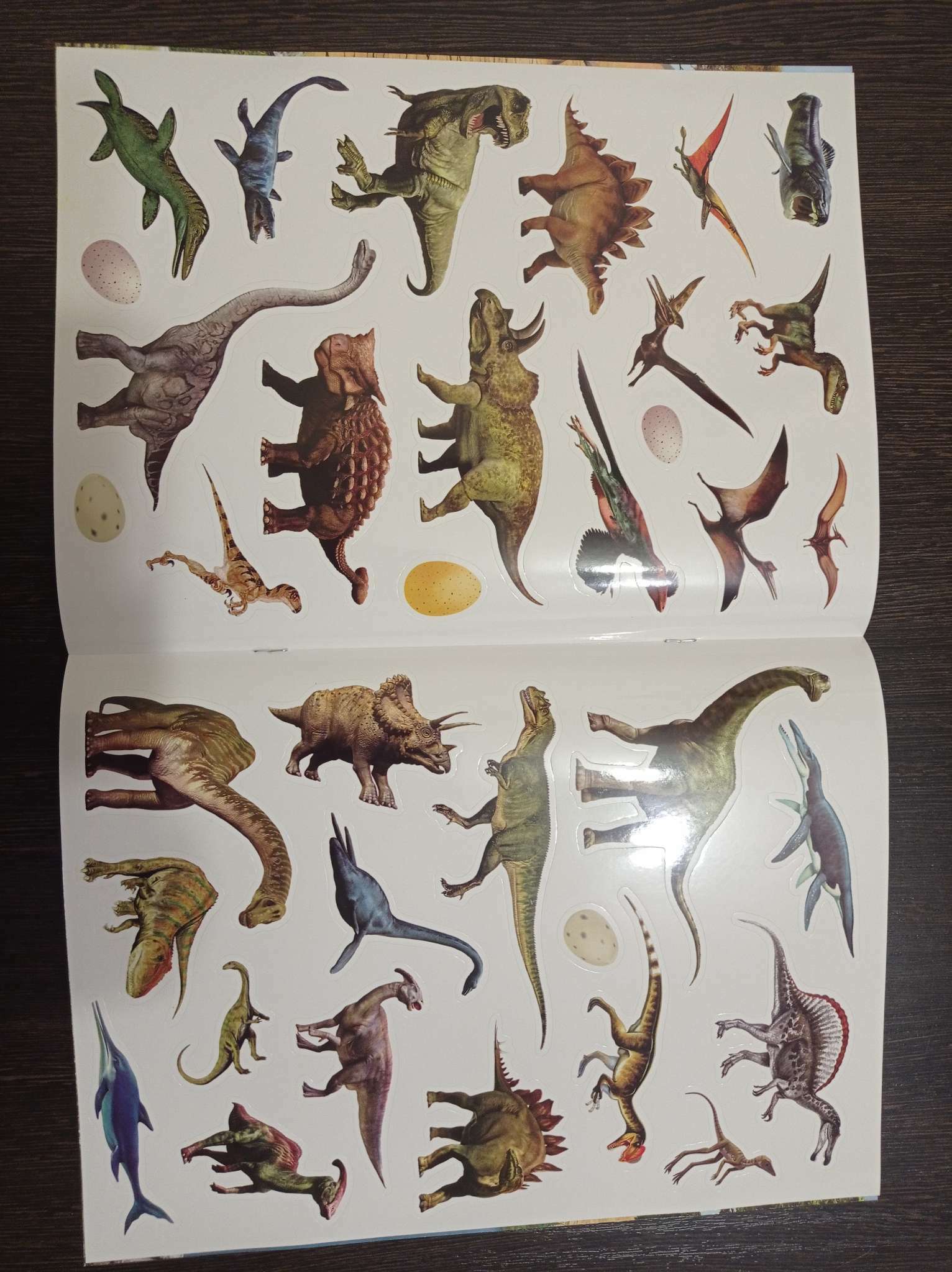 Фотография покупателя товара Наклейки многоразовые «Динозавры», формат А4 - Фото 2