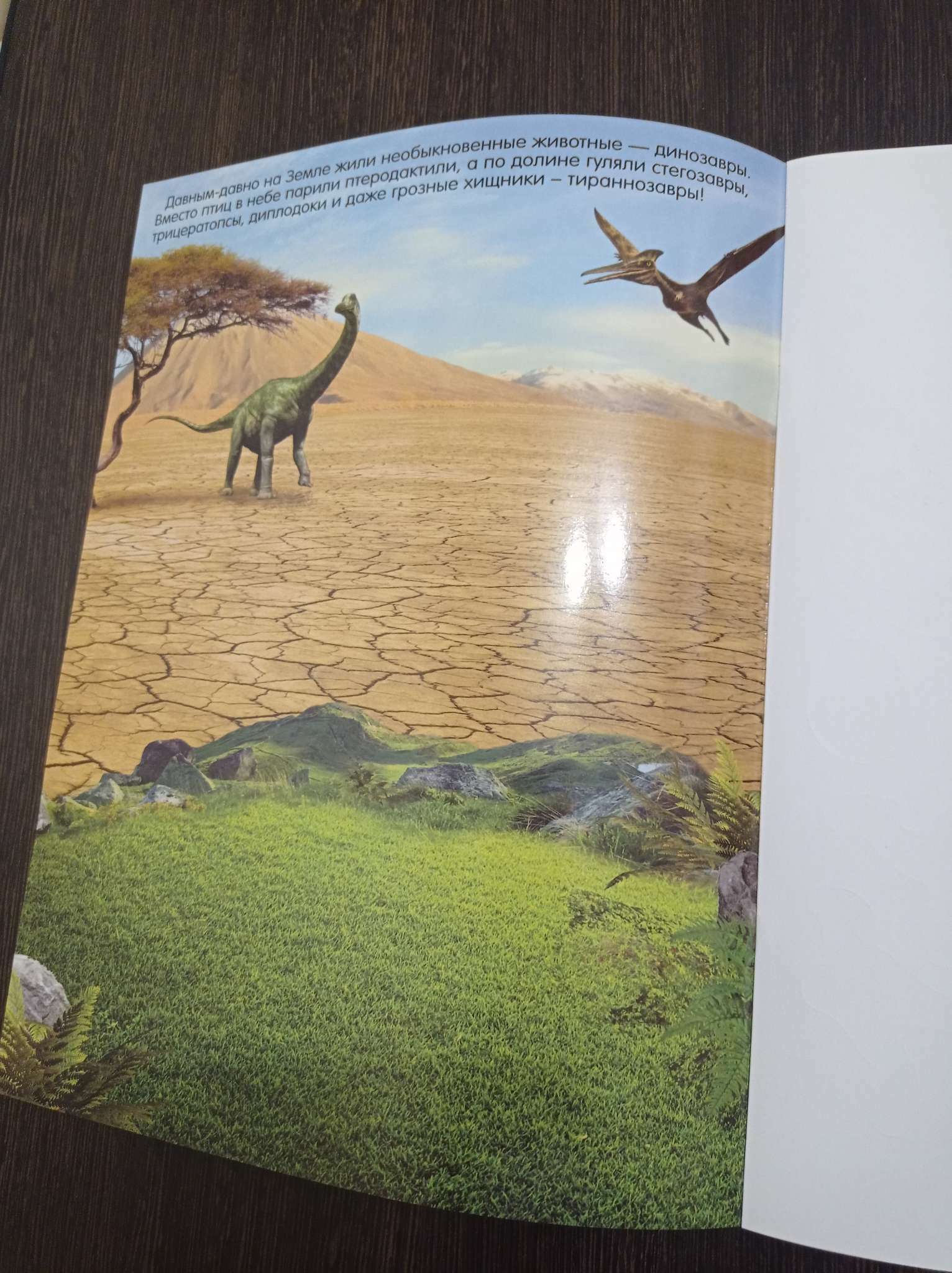 Фотография покупателя товара Наклейки многоразовые «Динозавры», формат А4 - Фото 1