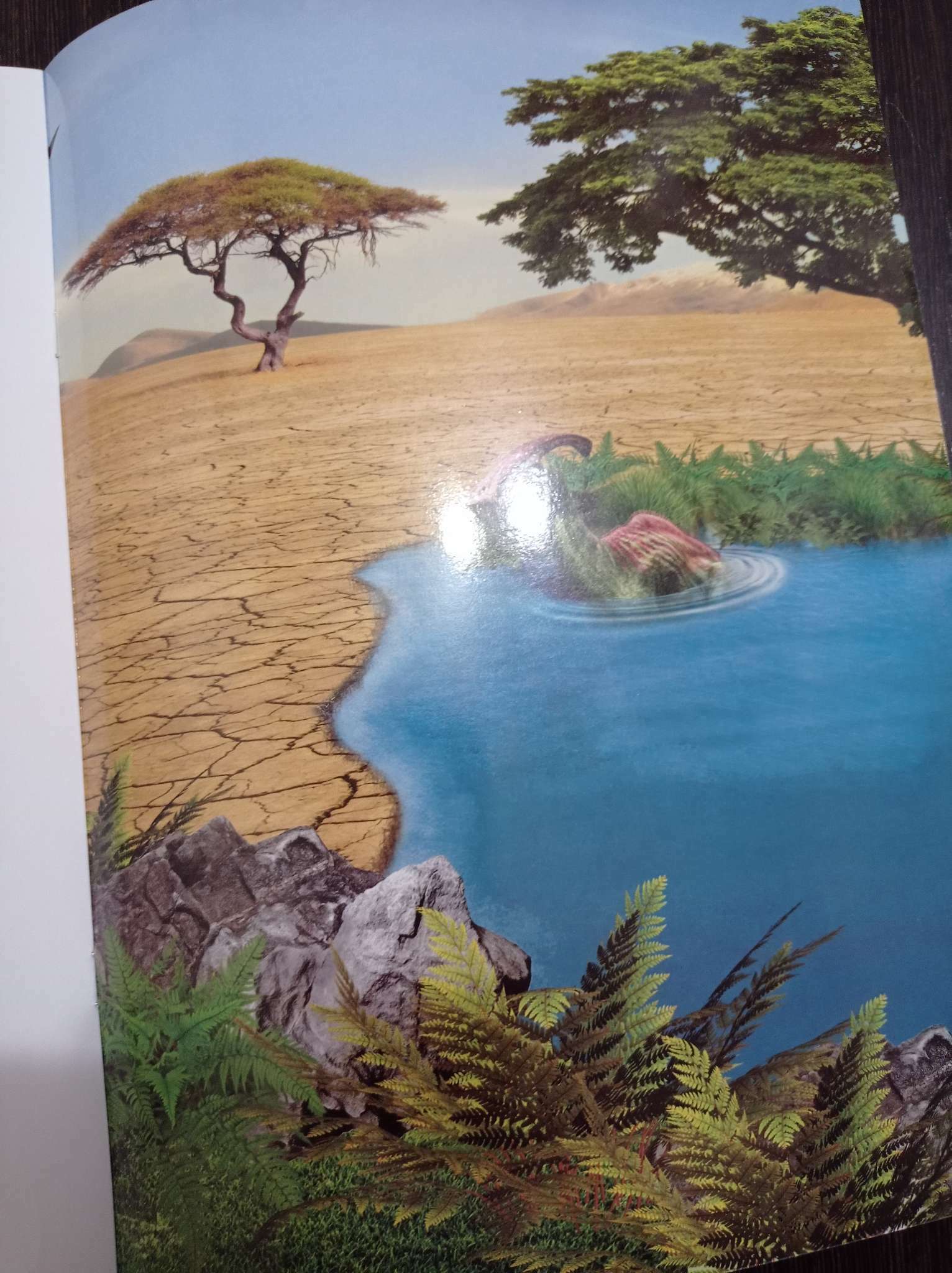 Фотография покупателя товара Наклейки многоразовые «Динозавры», формат А4 - Фото 3