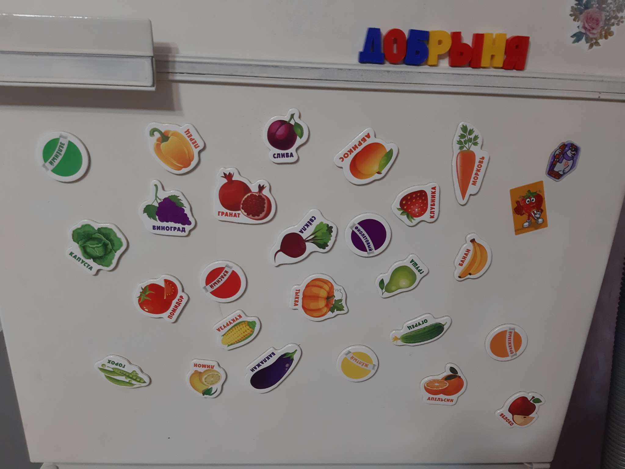 Фотография покупателя товара Развивающие магниты «Изучаем цвета и овощи - фрукты» (набор 25 шт.) - Фото 4