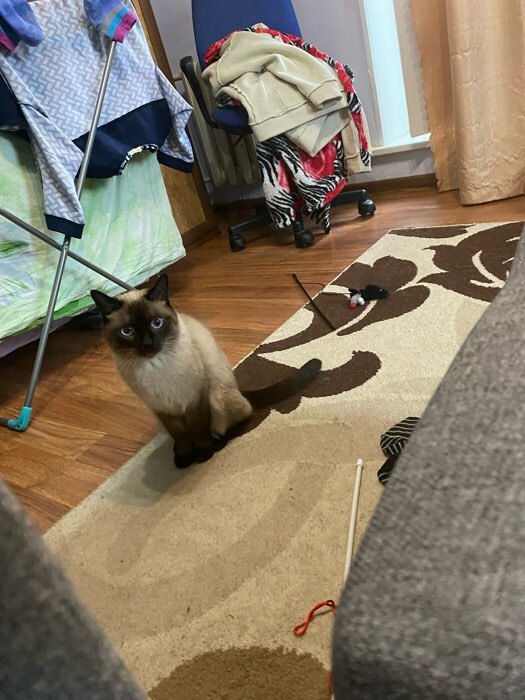 Фотография покупателя товара Набор новогодних подарочных коробок 10 в 1 «С Новым годом», 12×7×4‒32.5×20×12.5 см - Фото 4